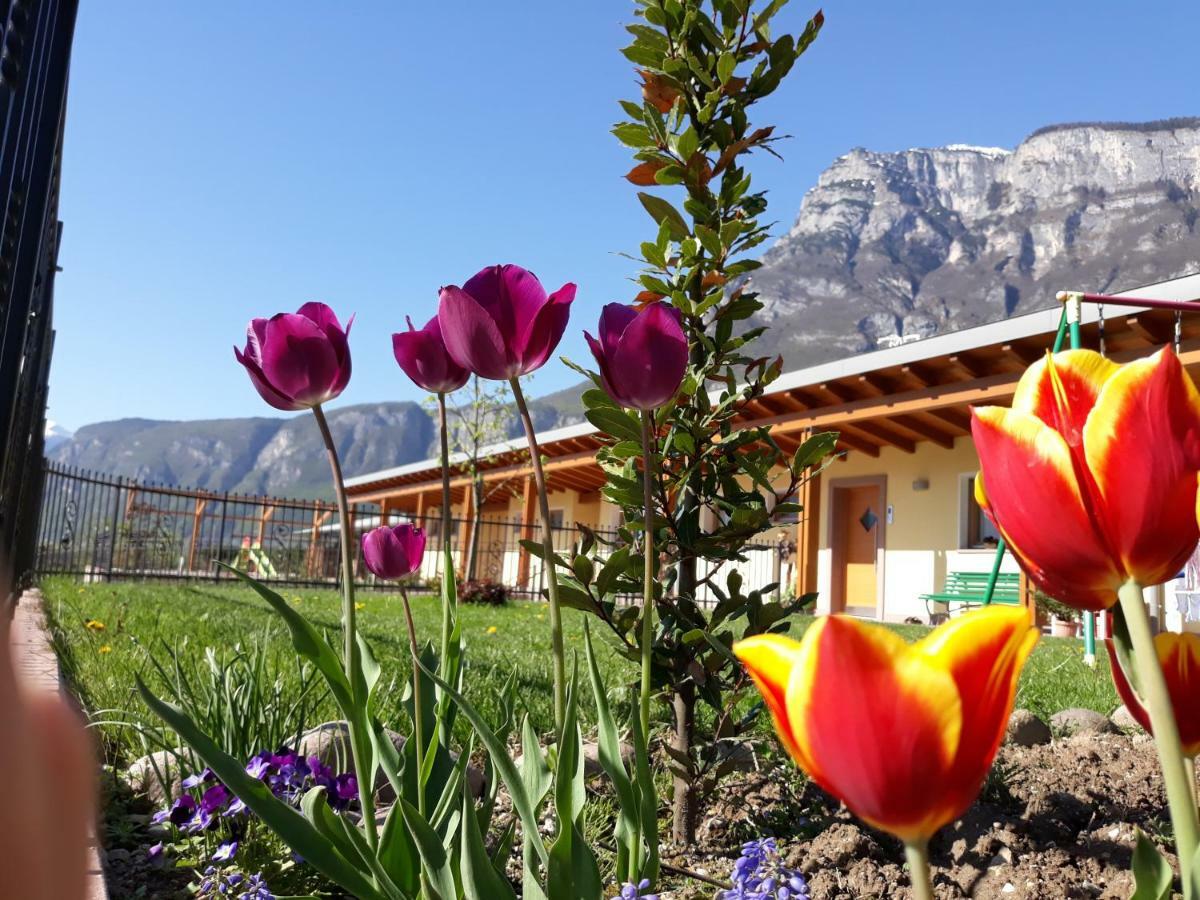 Agriturismo L' Isola Di Arturo Trydent Zewnętrze zdjęcie
